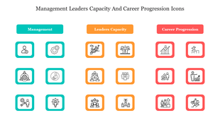 Management, Leaders Capacity, and Career Progression icons in three vertical columns with headers and square borders.
