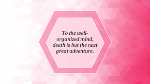 Pink geometric background slide with a hexagonal shape, containing a quote about organized minds and adventure.