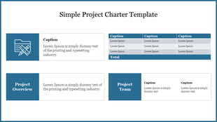 A clean and structured project charter template with sections for project overview, team, and captions in a table format.