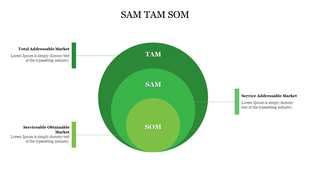 Concentric circle chart illustrating market segmentation with TAM, SAM, and SOM, and corresponding labels on both sides.