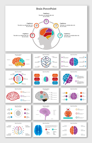A collection of PPT slides showcasing brain regions and cognitive functions with various colorful diagrams.