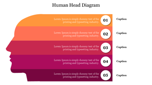 Gradient human head silhouette with five layered sections in orange and red shades, paired with numbered captions.