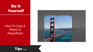 A slide with showing crop handles on bridge image; red panel on left displays tutorial title and DIY label.