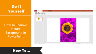 PowerPoint tutorial slide showing how to remove a picture background using the background removal tool.
