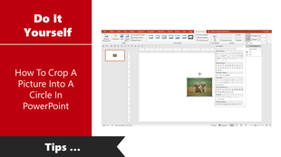 Guide showing how to crop an image into a circle shape in PowerPoint using the picture format options.