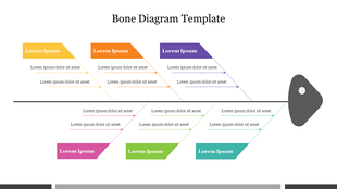 Bone diagram PPT slide with colorful arrows for different categories, each with a caption section for text on a white theme.
