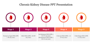 Five circles with kidney icons arranged horizontally in a pink to orange gradient bar, depicting stages 1 to 5.
