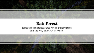 Rainforest-themed slide featuring a forest aerial view, with a centered banner displaying a quote about conservation.