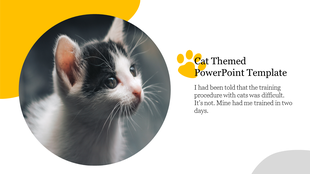 Kitten photo framed in a circle, with text and a paw print icon, on a white and yellow accented background.