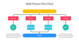 Multi-process colorful flow chart slide showing two branches with several processes and decision steps with two text areas.