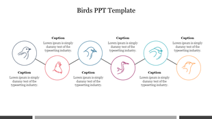Bird themed template with five circular icons, each featuring a different bird illustration, connected by lines. 