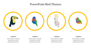 Slide with four colorful bird illustrations inside yellow circles, arranged horizontally, with captions below each.