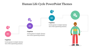 Human life cycle diagram with three numbered steps in pink, purple, and blue, leading to an elderly man with a cane.