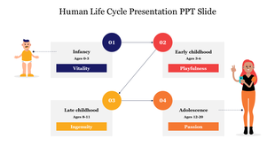 Human life cycle slide shows stages from infancy to adolescence with traits from vitality to passion.
