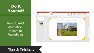 DIY guide on adding animated pictures in PowerPoint with an example slide open in animation mode.