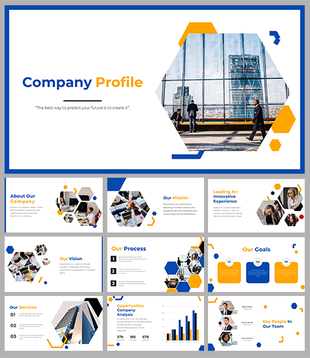 Corporate presentation slide deck with hexagonal layout, showcasing company information, vision, mission, and services.