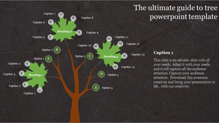 Tree infographic with three green branches, featuring numbered options, and text, on a dark background.