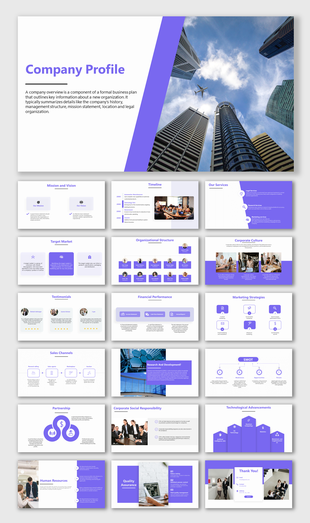 Company profile PPT slides with sections on mission, vision, organizational structure, financial performance, and more.
