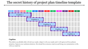 Gantt chart style timeline with months labeled and five staggered blue captions spanning January to December.