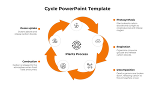 Circular process diagram with orange arrows and icons explaining photosynthesis, respiration, and decomposition stages.
