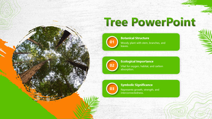 PowerPoint slide explaining tree structure, its ecological role, and its symbolic meaning with nature themed design.