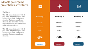 PowerPoint slide with three sections showing examples, content, and pricing with placeholder text.