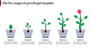 PowerPoint template illustrating the five stages of plant growth, from seedling to blooming flower, in potted plants.
