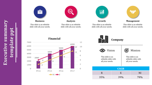 Purple-themed executive summary slide including financial graph, business icons, and company information with a title area.
