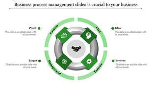 Business process management diagram slide with icons for Profit to Process in green and gray with placeholder text.