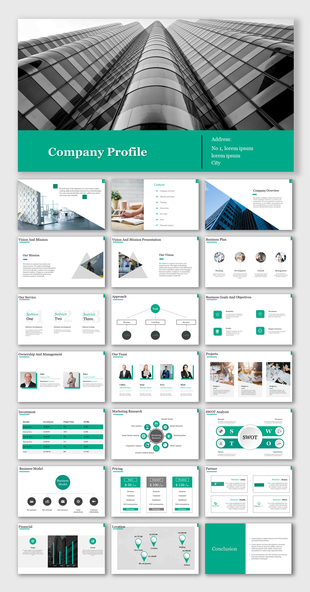 A PPT slides showing a professional company profile with sections for company overview, team, services, and financial data.