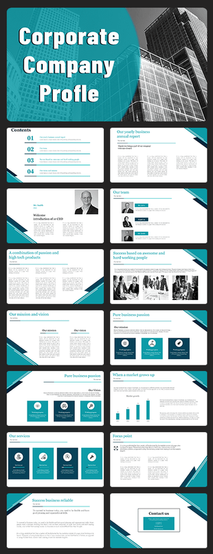 Company profile PowerPoint slides with various sections including team introduction, services, mission, and focus points.