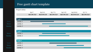 Gantt chart in blue tones, showing task progress over weeks with horizontal bars and assigned team members.