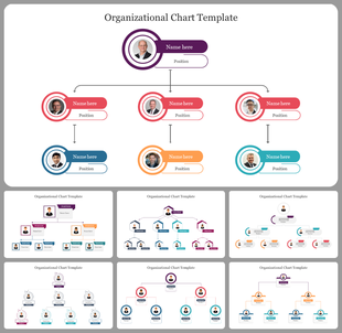 Organizational chart PowerPoint template with team hierarchy layouts and profile placeholders