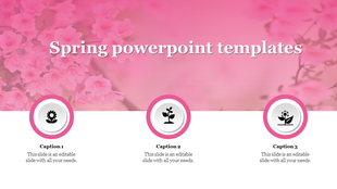 Spring themed slide with a pink cherry blossom background, featuring three circular icons at the bottom. 