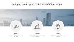 Company profile slide with a city skyline background, three circular icons for partnership, growth, and ideas, and captions.