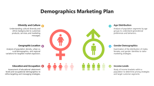 Demographics Marketing Plan Sample for Strategy and Marketing Teams