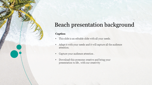 Aerial beach background with palm trees and curved teal lines on the left, text area on a light sand overlay to the right.