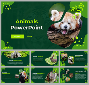 Slide deck with animal themed imagery, and illustrations, featuring classification and behavior with green backgrounds.