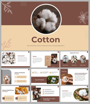 A pack of brown themed cotton slides covering various topics about its introduction and its types with text descriptions.