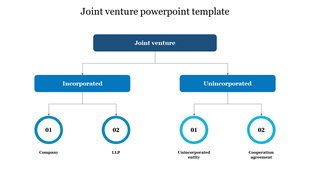 Hierarchy diagram with blue boxes and numbered circular nodes, illustrating joint venture types and subcategories.