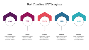 Monthly timeline template showing JAN to MAY with colored icons above each month and placeholder descriptions beneath.
