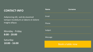 Contact information PPT slide with name, email, phone, and message fields with working hours.