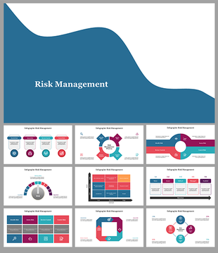 Slides with various circular, hexagonal, and bar charts in shades of blue, purple, and pink, illustrating risk management.