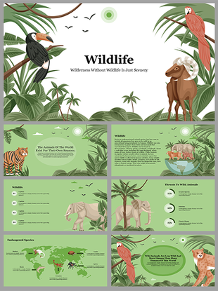 A pack of slides featuring illustrations of various wildlife animals in a lush green forest setting with icons and text area.