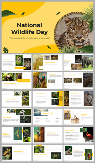 National wildlife day slide deck with a variety of wildlife images and sections on preservation and natural habitats.