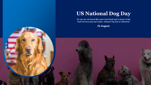 A golden retriever with a group of other dogs celebrating US National Dog Day on a colorful backdrop.