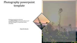 Photography themed template with a diamond shaped inset showcasing a sunset and wildflowers on a blurred background.