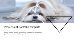  Portfolio slide featuring a cute dog lying down with geometric triangles overlayed on the image.
