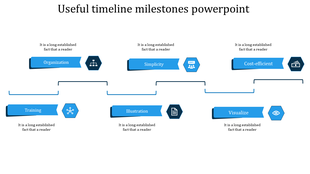Timeline milestones slide with blue hexagonal icons depicting from organization to visualization with placeholder text.