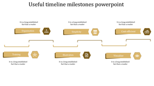 PPT slide shows timeline milestones with yellow hexagonal icons from organization to visualization with placeholder text.